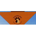 Standard Import Orange Small Triangle Bandanna